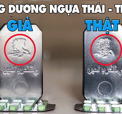 Ngựa Thái Xanh tem vàng chính hãng – So sánh đáy hộp thiếc thật và giả khoanh đỏ