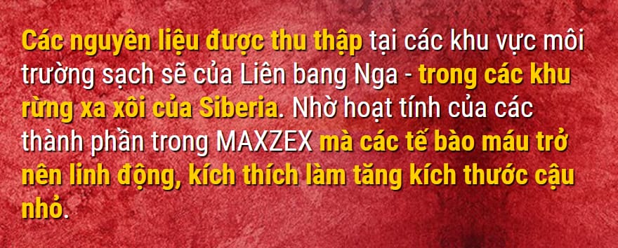 Maxzex tăng chiều dài và độ dày