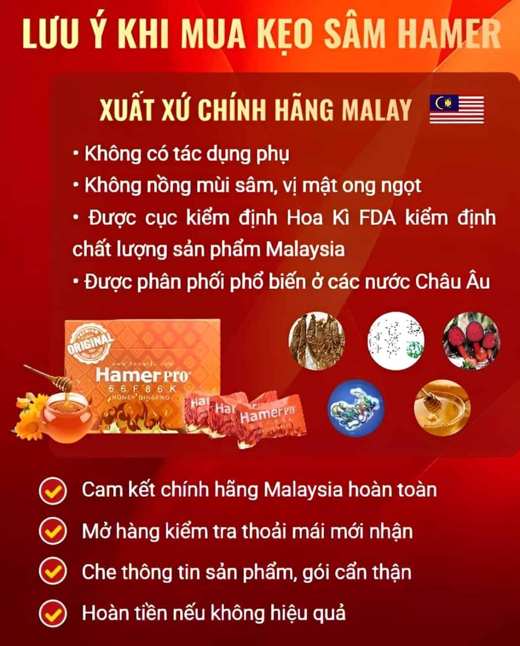 Lưu ý khi mua Hamer