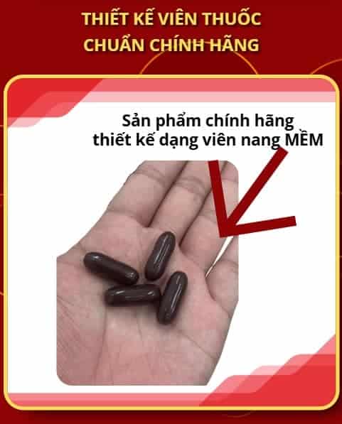 Kết quả thực tế Maxzex