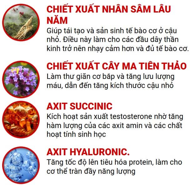 Thành phần thảo dược Maxzex