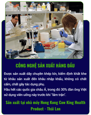 Công nghệ sản xuất Ngựa Thái tại nhà máy Thái Lan