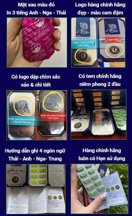 6 dấu hiệu phân biệt Ngựa Thái thật giả